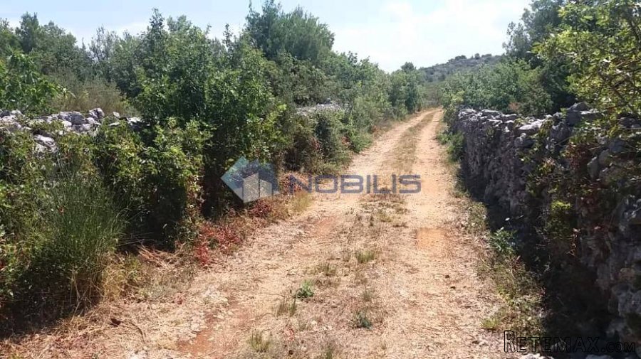 Šibenik, Vodice, građ. zemljište 15988 m2, maslinik, vl.. - 14