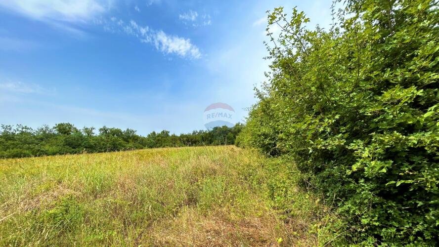 Istra,Lovrečica- Poljoprivredno zemljište