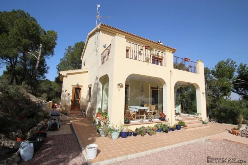 Beautiful villa built in the Pine.. - 2