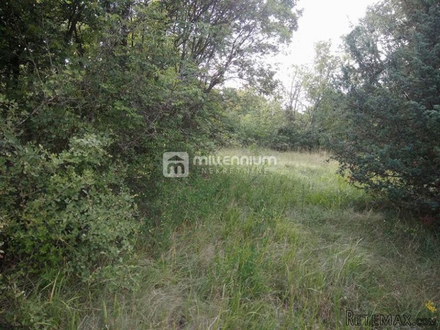 Istra, okolica Bala, poljoprivredno zemljište od 35.000m2 - 2