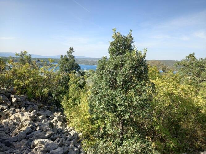 Krk, Punat, poljoprivredno zemljište - 2