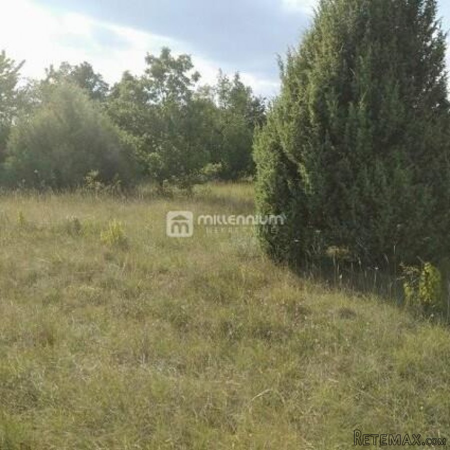 Istra, okolica Bala, poljoprivredno zemljište od 35.000m2 - 3