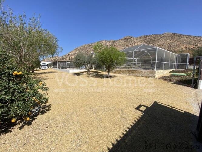 EXCLUSIVE TO VOSS HOMES - Very large 4 bed, 2 bath Country.. - 4