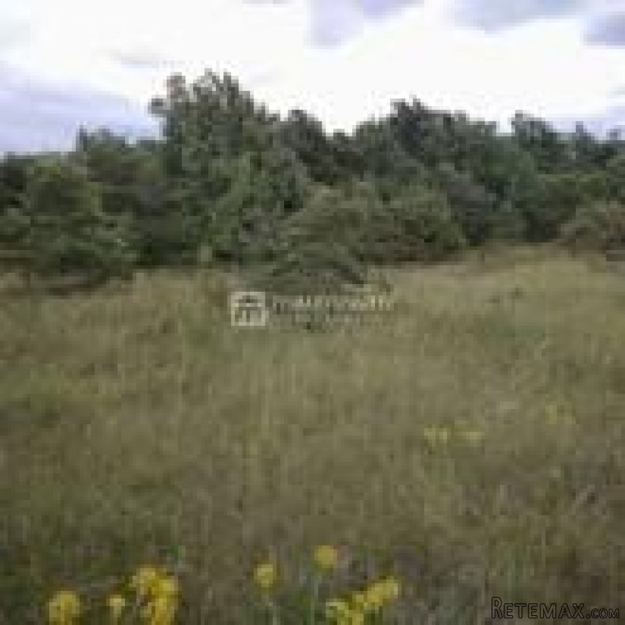 Istra, okolica Bala, poljoprivredno zemljište od 35.000m2 - 4