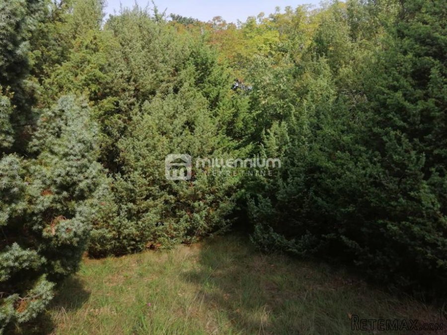 Istra, okolica Bala, poljoprivredno zemljište od 35.000m2 - 5