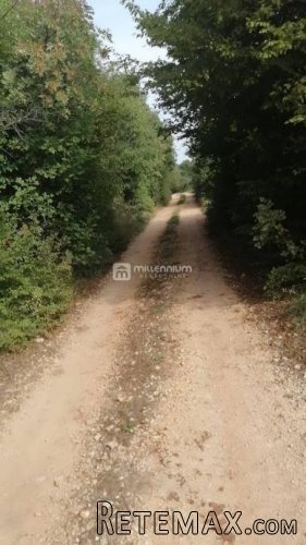 Istra, okolica Bala, poljoprivredno zemljište od 35.000m2 - 6