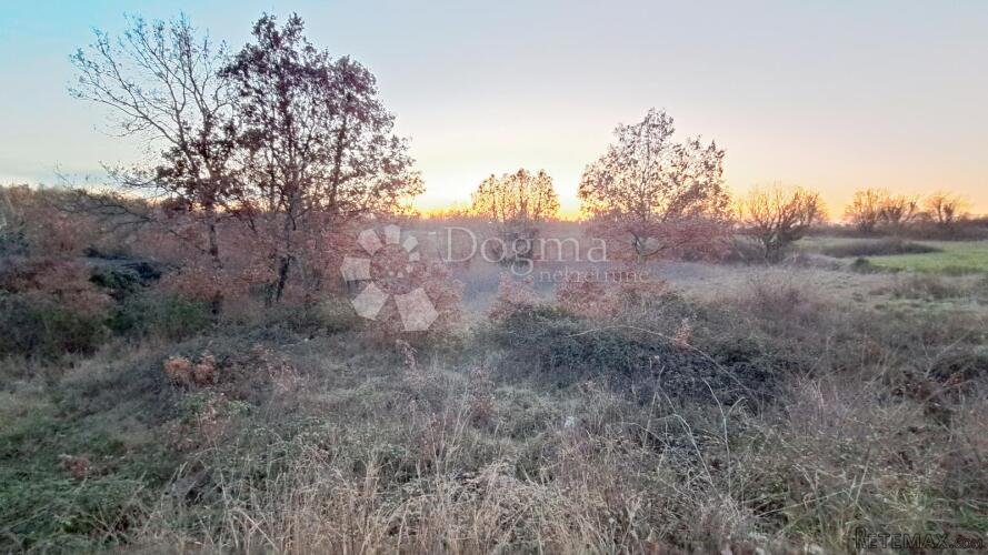Urbanizirano zemljište u prirodi i blizini Tinjana