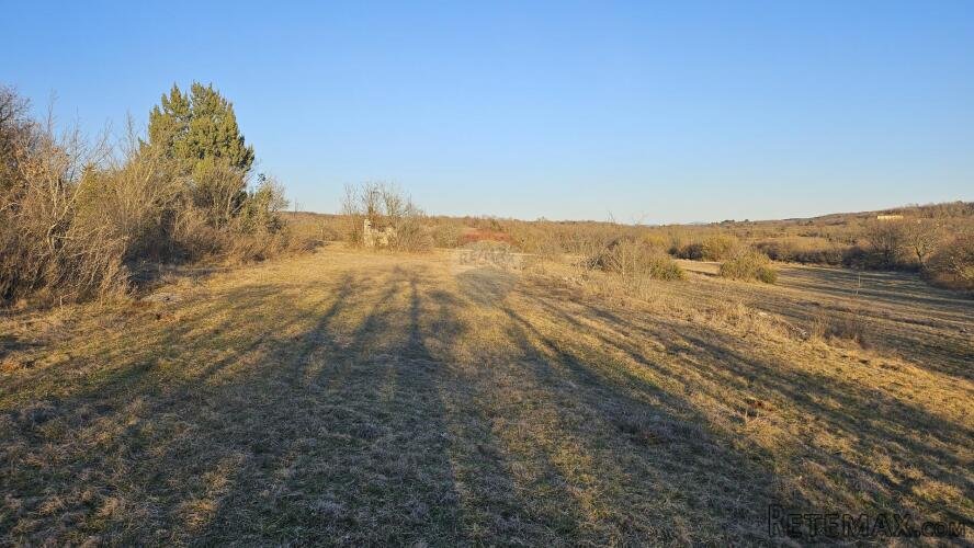 Istra, Grožnjan- negrađevinsko zemljište sa starinom