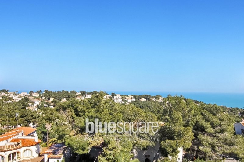 Exclusive to Blue Square - Beautiful.. - 2