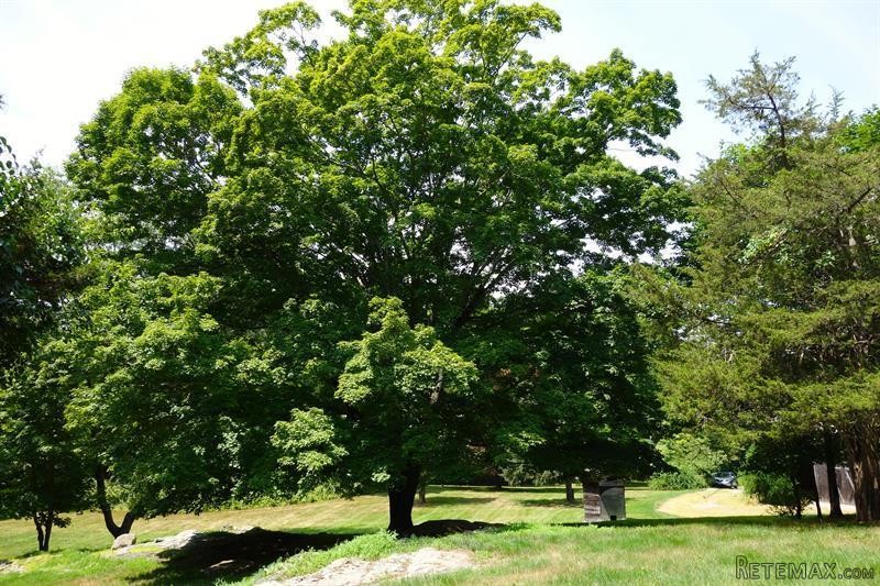 Land For Sale: 223 Westchester Avenue.. - 2