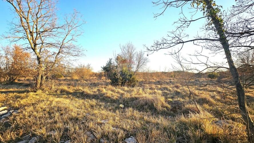 Istra, Grožnjan- poljoprivredno zemljište