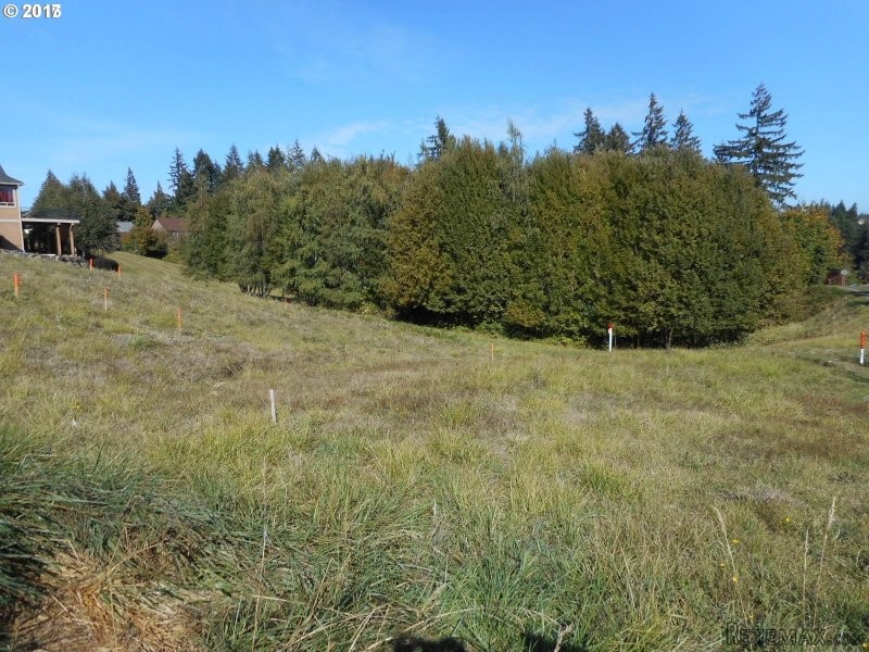 1808 S 8TH WAY, Ridgefield, Washington..