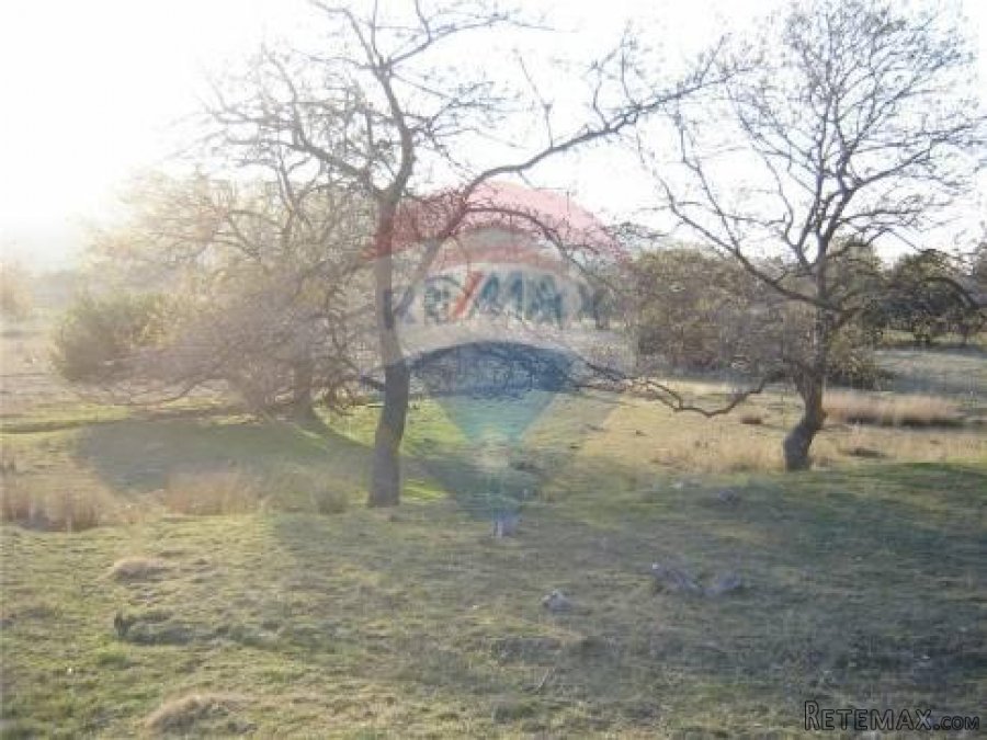 Supetarska Draga - teren - 2