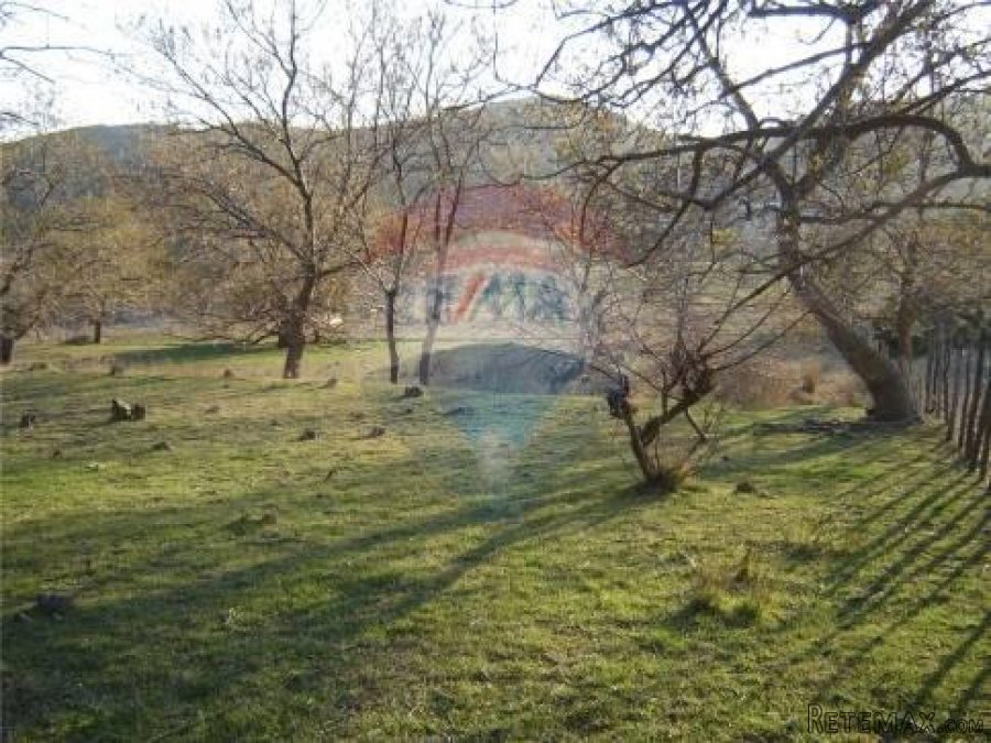 Supetarska Draga - teren - 3