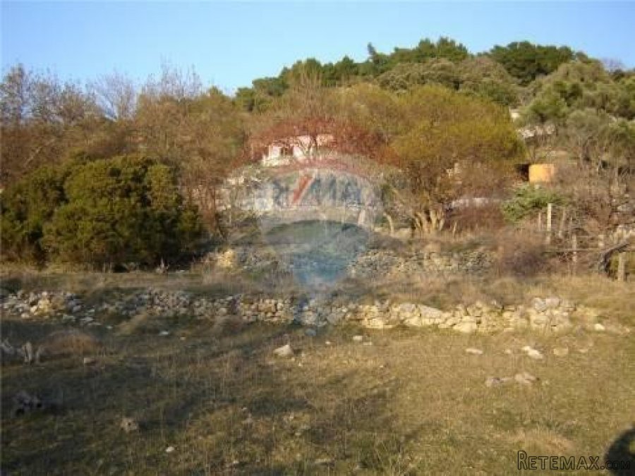 Supetarska Draga - teren - 5