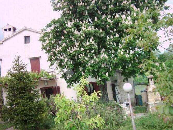 ISTRA,IMPOZANTNO IMANJE SA DVIJE KAMENE KUĆE