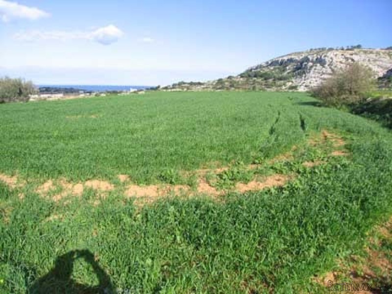 Land / Fields, N/a