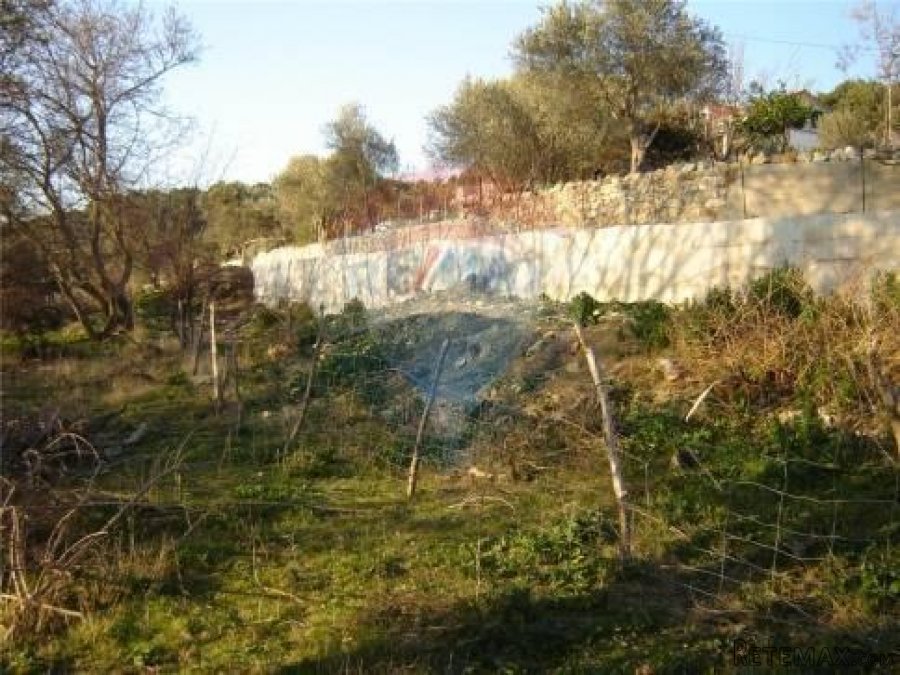 Supetarska Draga - teren - 6