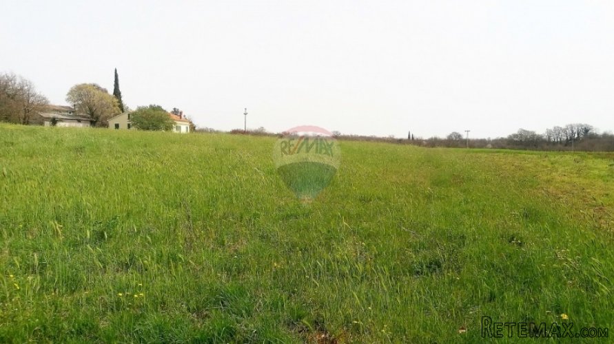 ISTRA, PREKRASNA PARCELA 2500 M2, PRILIKA!