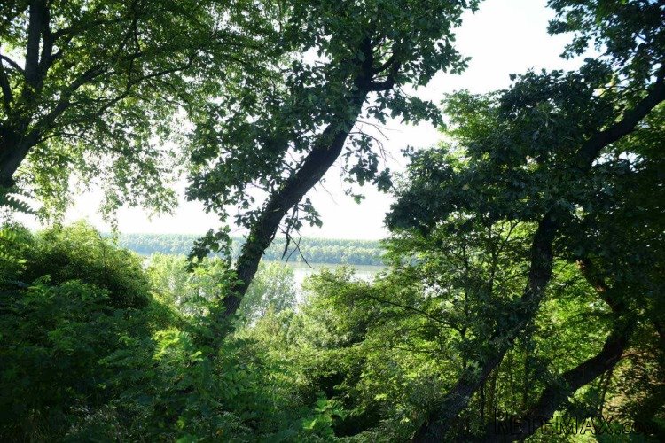 Kuca sa pogledom na Dunav i zemlja od 30ari - 10