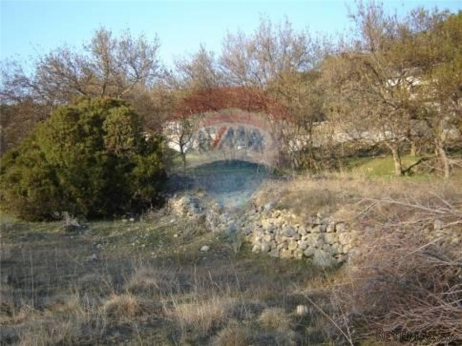 Supetarska Draga - teren - 10