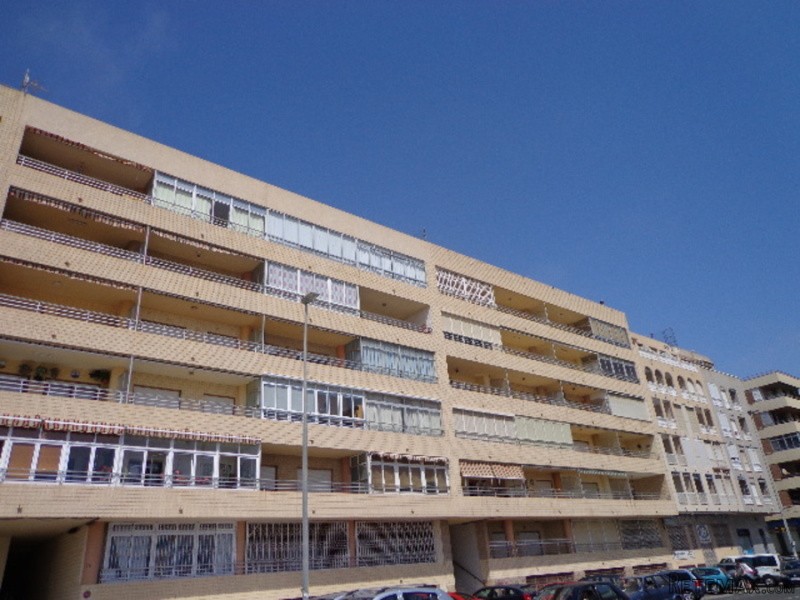 3 Bedrooms - Apartment - Alicante - For.. - 2