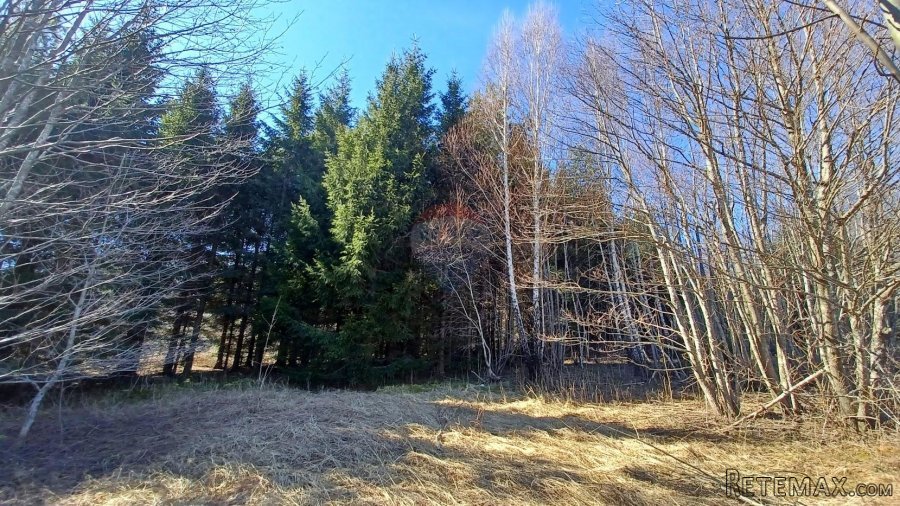 Lič - građevinski teren među smrekama 3179 m2 - 3