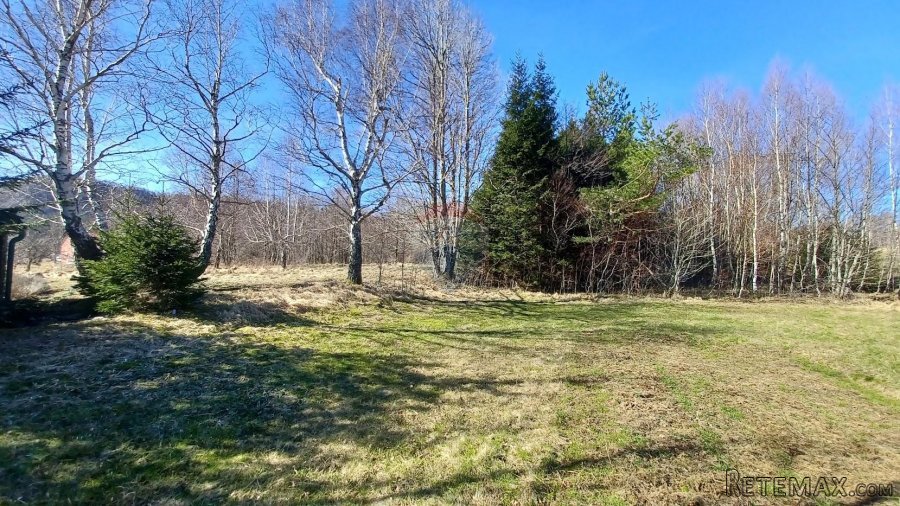 Lič - građevinski teren među smrekama 3179 m2 - 4