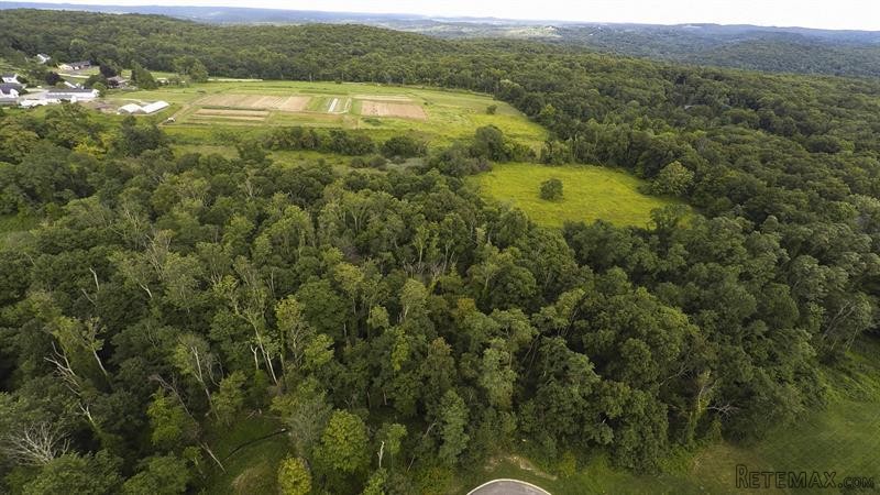 Land For Sale: 1178 White Horse Lane..