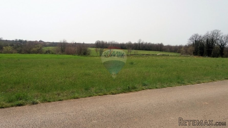 ISTRA, PREKRASNA PARCELA 2500 M2, PRILIKA! - 5
