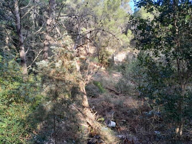 Istra,Premantura,negrađevinsko zemljište na rubu urbanizacij