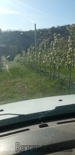 Krcedin!Prodaje se vikendica sa kaminskom kucom i vocnjakom - 3