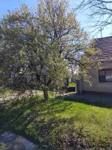 Prodajem kucu u Banatskom Karađorđevu - 3