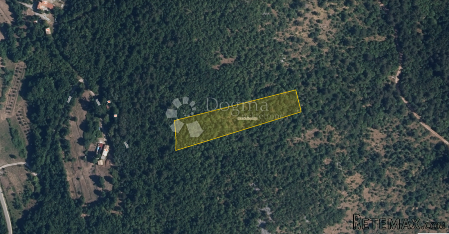 Velika šuma u blizini sela - 3