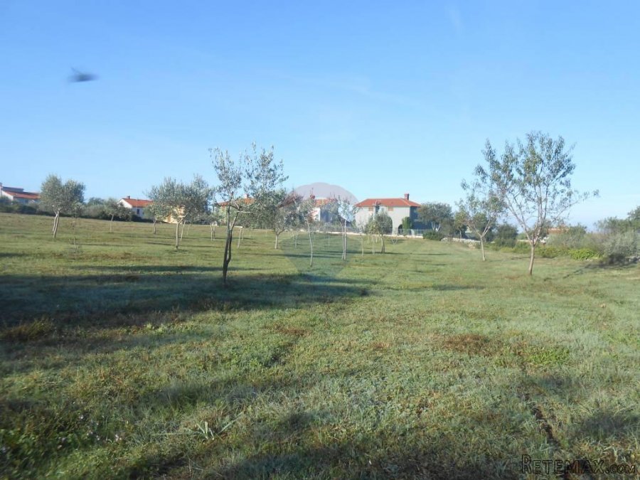 Istra, Vodnja, Galižana, velika parcela (5520 m2) na rubu ur - 5