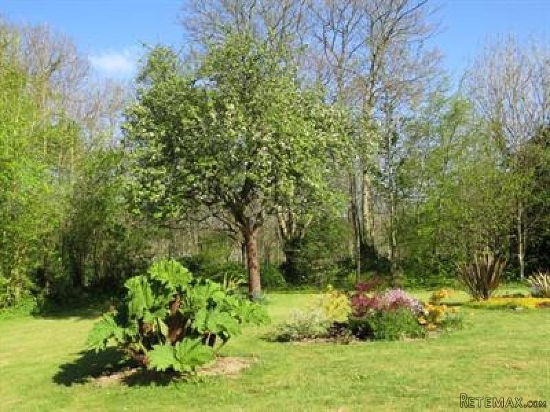 Stunning Manor House or Maison de Maitre - 2