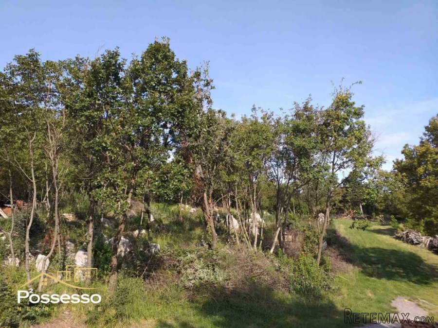 Buzet - Građevinsko zemljište - 8