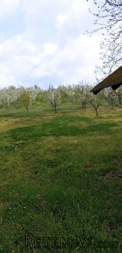 Krcedin!Prodaje se vikendica sa kaminskom kucom i vocnjakom - 10