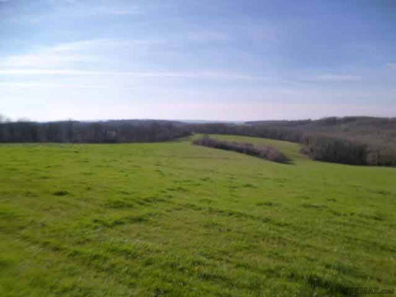 Farm Property With Two Accommodations.. - 2