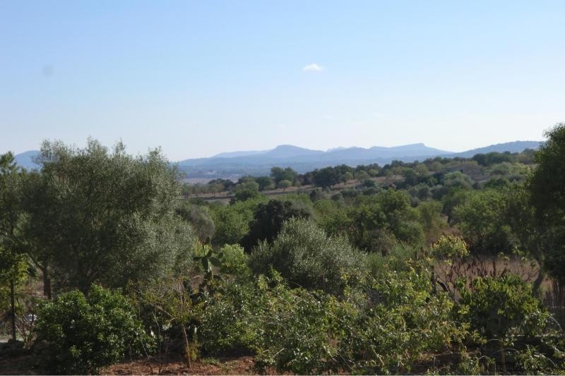 Finca in a peaceful country environment - 2