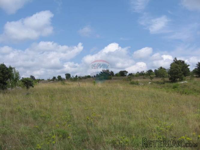 ISTRA, BARBAN, PETEHI, poljoprivredno zemljište 1km od sela