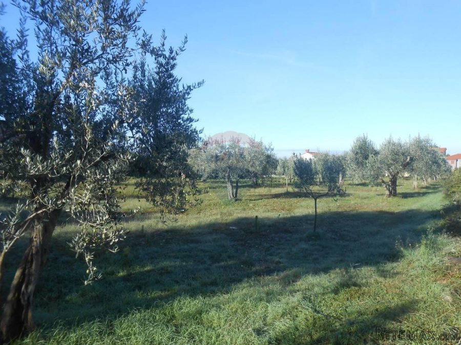 Istra, Vodnjan, Galižana, velika parcela na rubu urbanizacij - 7