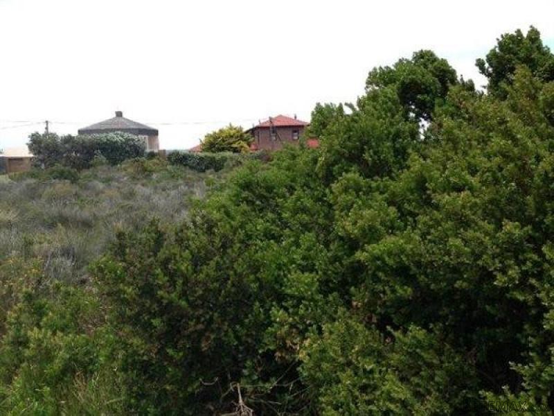 Bettys Bay Vacant Land, Bettys Bay - 2
