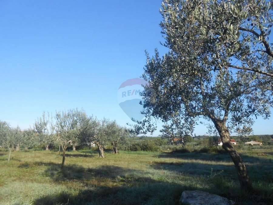 Istra, Vodnjan, Galižana, velika parcela na rubu urbanizacij - 8