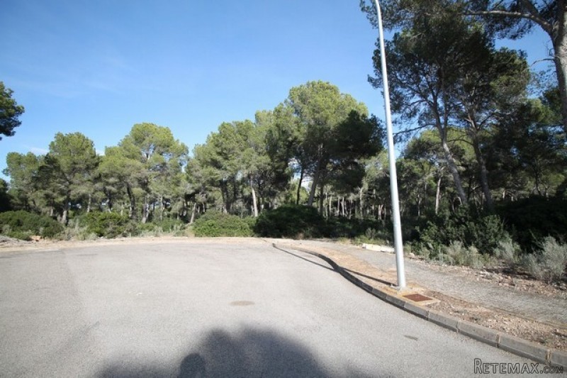 Plot for sale in Nova Santa Ponsa. Plot.. - 2