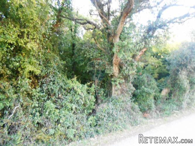 Istra, Pula, veliko građevisnko zemljište u predgrađu - 5