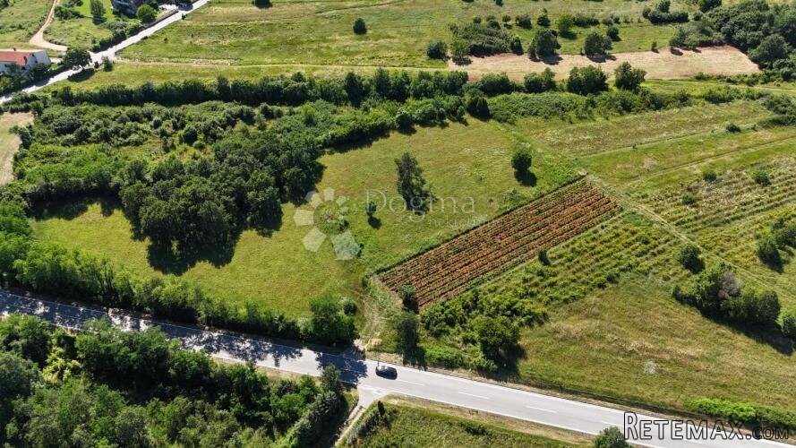 Prostrano kombinirano zemljište Prodol 6.370m2 - 3