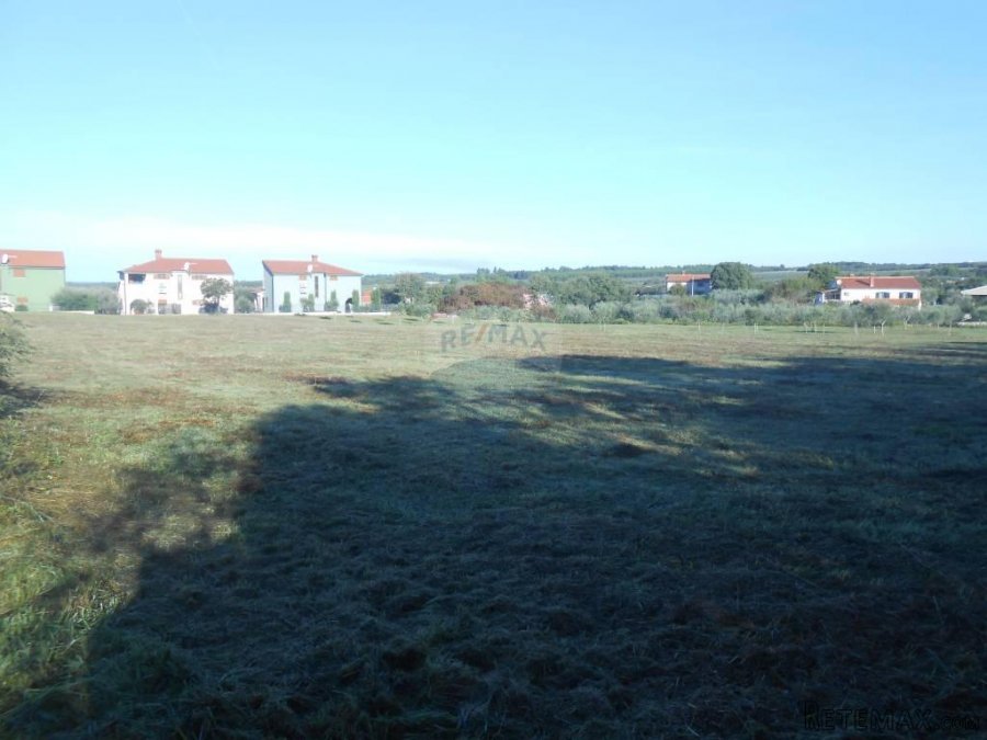 Istra, Vodnjan, Galižana, veliko zemljište sa maslinama na r - 9