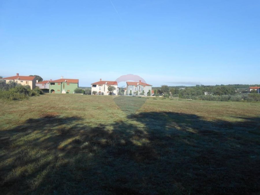 Istra, Vodnjan, Galižana, veliko zemljište sa maslinama na r - 10