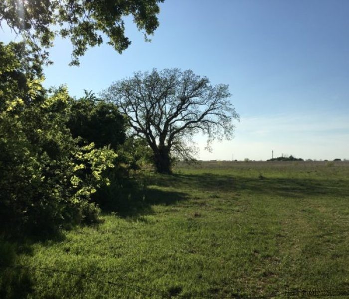 80 Acres of Prime Texas Farm & Ranch..
